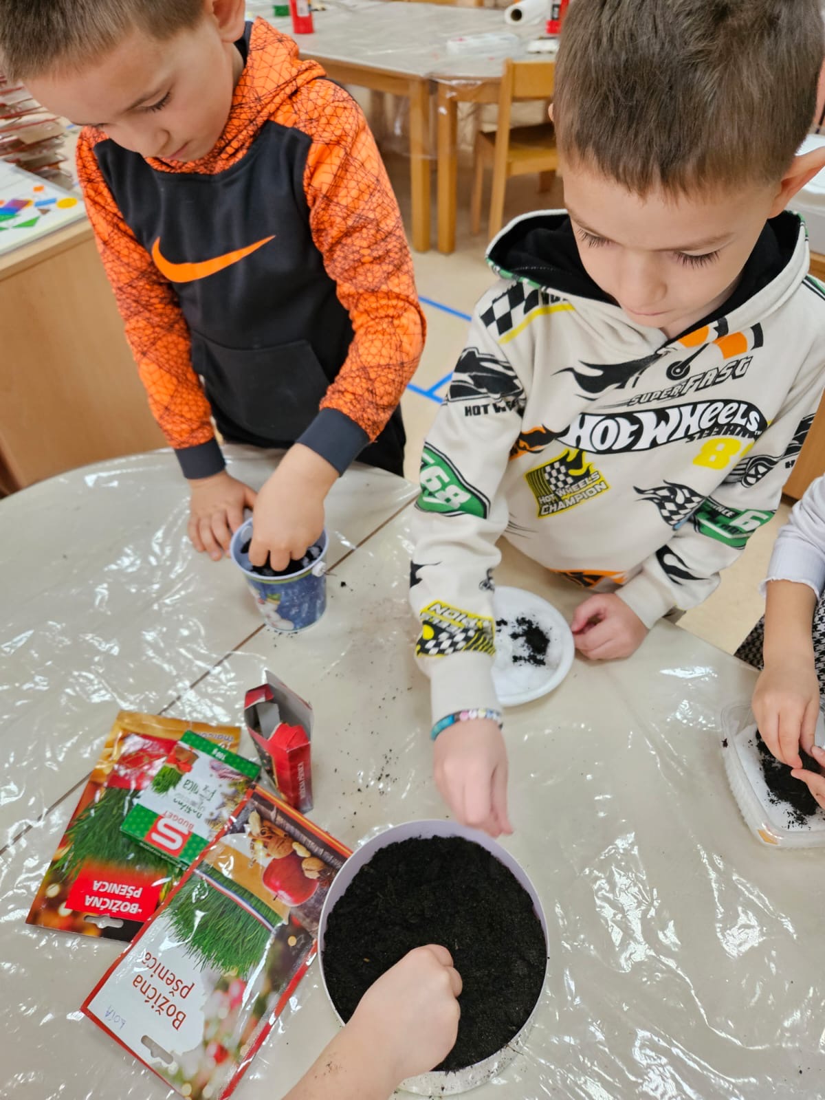 Duis facilisis enim quis tortor